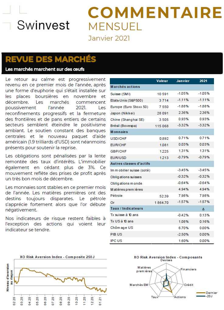 Image Commentaire mensuel janvier 2021